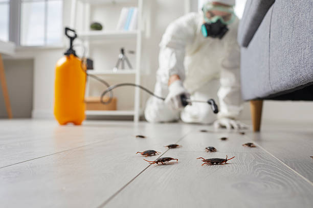 Commercial Kitchen Cockroach Control in Nescopeck